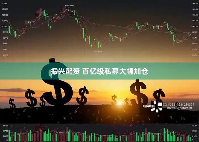 振兴配资 百亿级私募大幅加仓