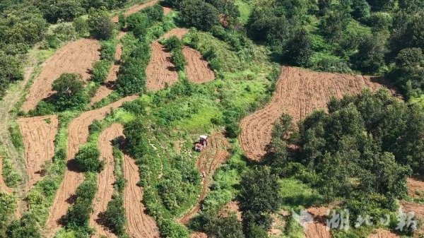 富灯网配资 大悟：机械化采收助力花生“颗粒归仓”
