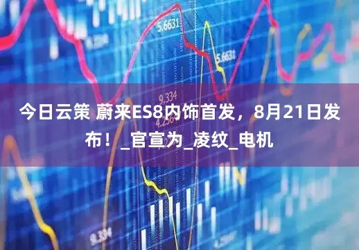 今日云策 蔚来ES8内饰首发，8月21日发布！_官宣为_凌纹_电机