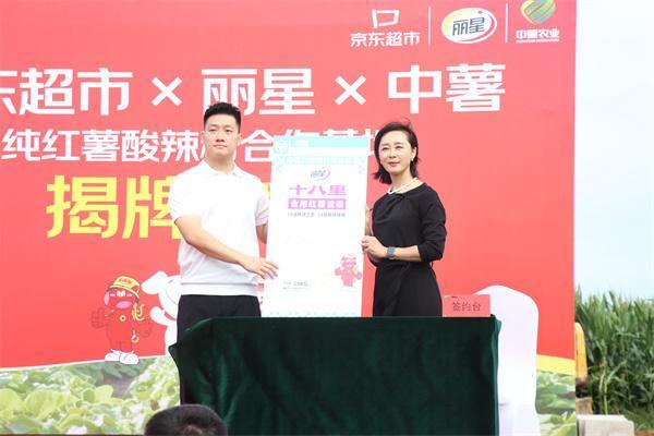 垒富优配 “京东超市·丽星·中薯纯红薯酸辣粉合作基地”揭牌仪式在河北卢龙举行