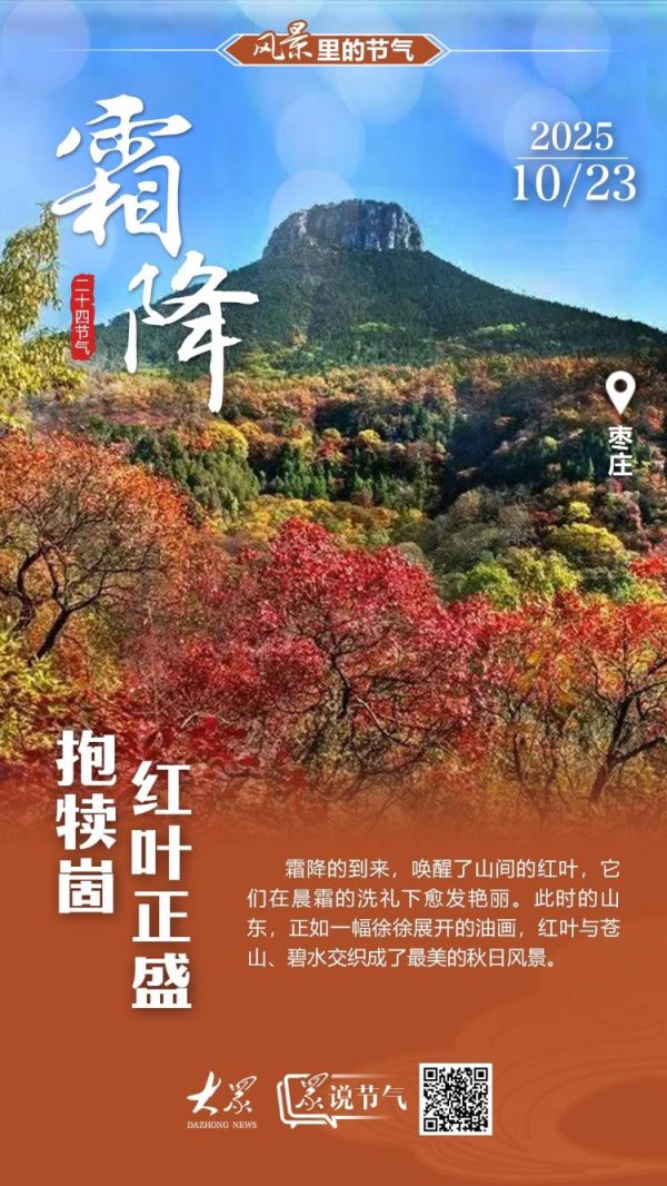 创元网配资 风景里的节气·霜降丨抱犊崮红叶正盛